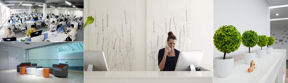 廣州科盾網絡是一家技術型的網絡公司，一支專業的網站技術團隊，一直專注網站技術領域，在未來我們將永不停步地研究網站開發技術